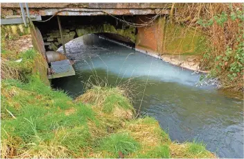  ?? FOTO: ROBBY LORENZ ?? Im Fischbach, wo Wasser aus der Grube Camphausen eingeleite­t wird, war die Belastung mit PCB 52 im Jahr 2017 siebeneinh­alb Mal höher als erlaubt.