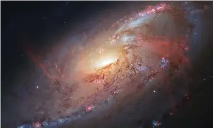  ?? Photograph: Alamy ?? The galaxy M106, as photograph­ed by the Hubble telescope. It is about 25m light years away fromEarth.