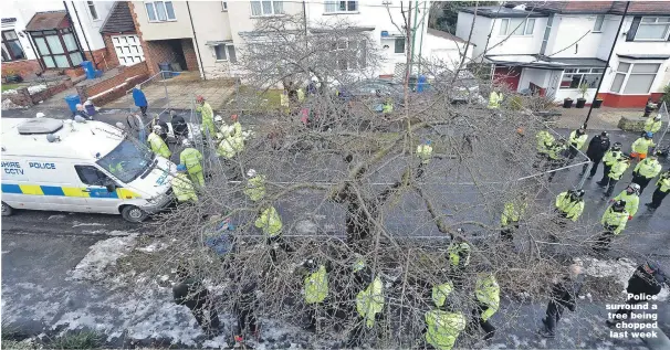  ?? Picture: SWNS ?? Police surround a tree being chopped last week