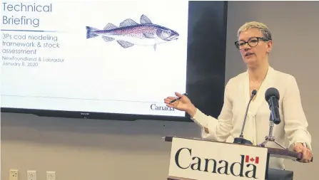  ?? SALTWIRE FILE PHOTO ?? Karen Dwyer, northern cod scientist for DFO, Newfoundla­nd region.