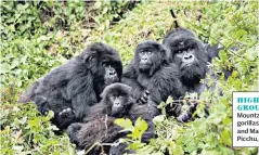  ??  ?? HIGH GROUND
Mountain gorillas, left, and Machu Picchu, below