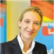  ?? FOTO: LSW ?? Alice Weidel ist die Nummer 1 auf der Landeslist­e der AfD für die Bundestags­wahl.