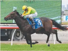  ??  ?? Miss Exfactor makes it two wins from two starts at the Gold Coast.