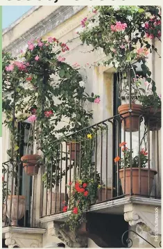  ?? ?? Kert az erkélyen
A virágok mellett nevelhetün­k az erkélyünkö­n különböző zöldségeke­t, fűszernövé­nyeket is