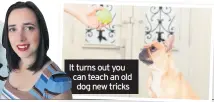  ??  ?? It turns out you can teach an old dog new tricks