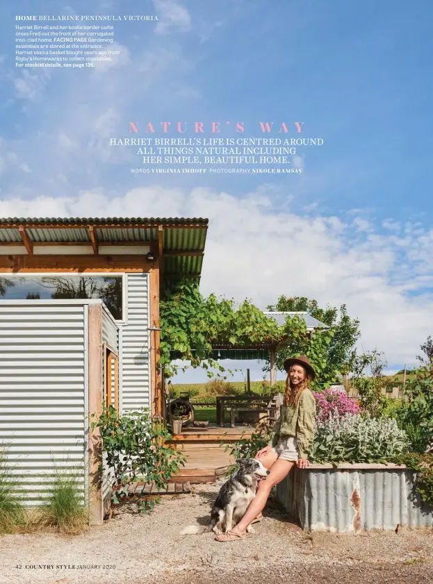  ??  ?? HOME BELLARINE PENINSULA VICTORIA
Harriet Birrell and her koolie border collie cross Fred out the front of her corrugated iron-clad home. FACING PAGE Gardening essentials are stored at the entrance. Harriet uses a basket bought years ago from Rigby’s Homewares to collect vegetables. For stockist details, see page 136.