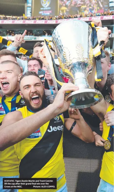  ?? Picture: ALEX COPPEL ?? ECSTATIC: Tigers Dustin Martin and Trent Cotchin lift the cup after their grand final win over the Crows at the MGC.