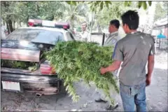  ?? NEAK MEAS ?? Authoritie­s haul away a load of marijuana seized from a home in Koh Kong province on Monday.