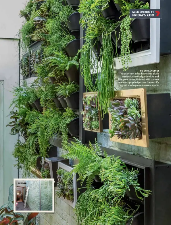  ??  ?? SO ENTRANCING! You can turn a dead zone into a lush oasis with vertical garden kits and DIY grow boxes, finished with custom made or upcycled picture frames. It’s a great way to green a narrow space.