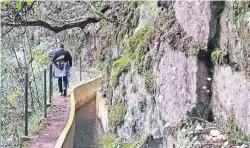  ?? FOTO: STEFANIE BISPING ?? Elf Kilometer führt der Wanderweg von Riberia Frio bis nach Portela.