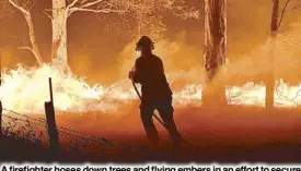  ?? AFP ?? A firefighte­r hoses down trees and flying embers in an effort to secure nearby houses from bushfires in New South Wales yesterday.