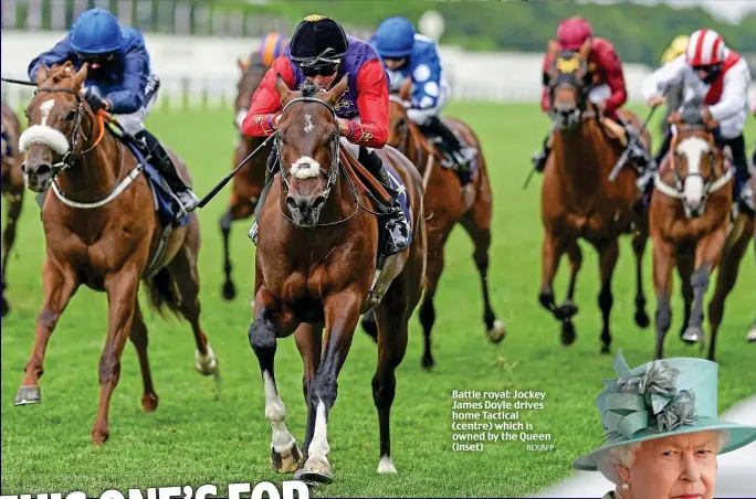  ?? REX/AFP ?? Battle royal: Jockey James Doyle drives home Tactical (centre) which is owned by the Queen (inset)