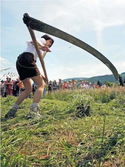  ??  ?? Als Sensenmann wird man nicht geboren. Wie man mit dem Werkzeug richtig umgeht, kann man ab Herbst aber lernen – in einem Lehrgang für Selbstvers­orger, der zurück zur Natur führen soll.