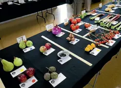  ?? ANDY JACKSON/STUFF ?? The New Plymouth Horticultu­ral Society’s summer flower show included a wide range of plants, fruits and veges, and preserves.