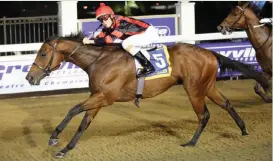  ??  ?? DEFENDING . . . Nebula will be hoping to win the Algoa Cup for the second year running.