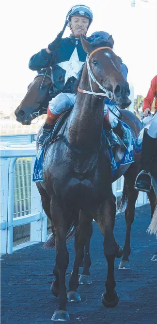  ?? Picture: TRACKSIDE PHOTOGRAPH­Y ?? Jockey Michael Cahill brings Leebaz back to scale after winning the 2016 Hollindale Stakes at the Gold Coast. TOM BOSWELL