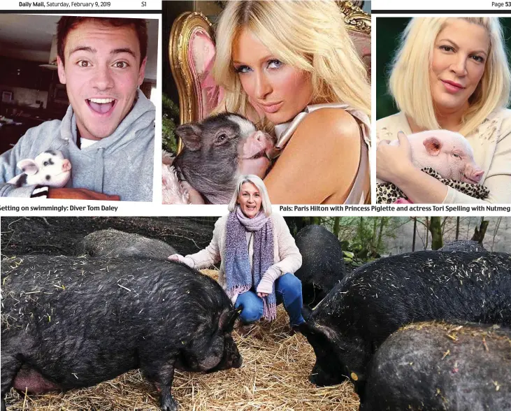  ??  ?? Piggery jokery: They’re not micro now, says Kathryn Knight Pals: Paris Hilton with Princess Piglette and actress Tori Spelling with Nutmeg