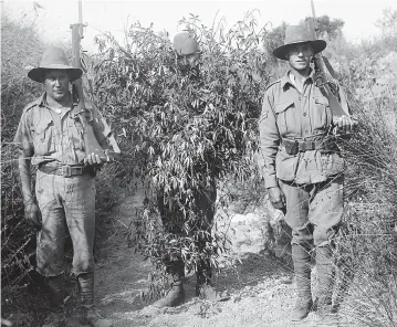  ??  ?? Spot the enemy: This camouflage­d Turkish sniper was captured in Gallipoli in 1915