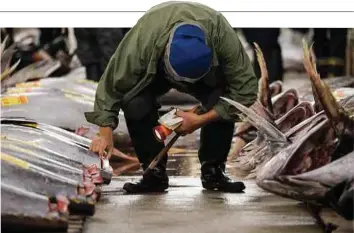  ??  ?? PEMBELI memeriksa ikan sebelum bidaan ikan terakhir di pasar ikan Tsukiji, Tokyo, Jepun, semalam, sebelum dipindahka­n ke lokasi baharu. - AFP