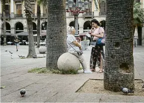  ?? ANA JIMÉNEZ ?? Una palmera convertida en respatller vegetal