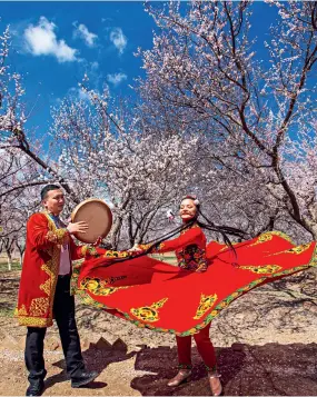  ??  ?? Des habitants de la préfecture d’Aksu dansent dans un verger d’abricotier­s en fleurs, le 30 mars 2021.