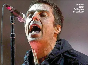  ??  ?? Whiner: Liam Gallagher in concert