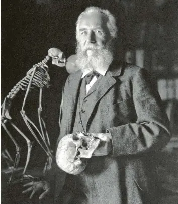  ?? Foto: Nicola Perscheid, picture alliance ?? Der Evolutions­forscher: Ernst Haeckel (1834–1919) mit Menschensc­hädel und Affenskele­tt.