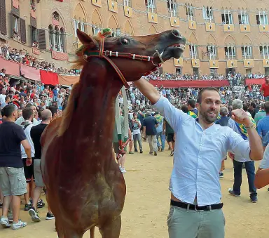  ??  ?? Sopra Remorex alla sua seconda vittoria da cavallo scosso; a lato un momento della mossa prima della partenza