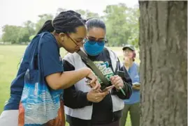  ?? McKinley Park. ?? Imani Green Health Advocates program leader Ajiah Gilbert, left, records data from a honey locust tree with Maybelline Mariscal, 21, during a tree-health monitoring training outing in