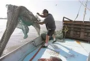  ?? Kin Man Hui / San Antonio Express-News ?? Shrimper Dwayne Harrison throws out his nets for shrimping in the Houston Ship Channel near Baytown on a late afternoon recently.