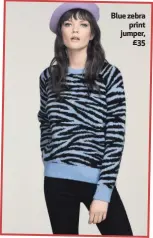  ??  ?? Blue zebraprint jumper,£35