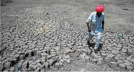  ?? — Photos: AFP ?? Shivaram, a villager, walking through the cracked bottom of a dried-out pond on a hot summer day at Bandai village in Pali district.