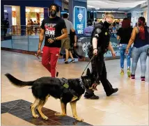  ??  ?? A patrol can feel like hanging out with a celebrity, as shoppers constantly stop Jax and his handler, Officer Stephanie Bong of Allied Universal Security, to ask questions or take pictures.