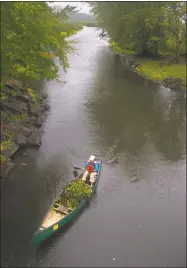  ?? File photo ?? A biology intern with the U.S. Fish and Wildlife Service at Great Meadows National Wildlife Refuge paddles down the Sudbury River with a canoe full of water chestnut.