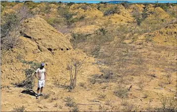  ?? ROY FUNCH/FOR THE WASHINGTON POST ?? Termite mounds cover 88,000 square miles in northeaste­rn Brazil’s caatinga, a region low, dry forest land.