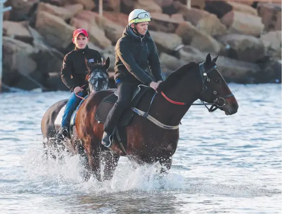  ?? Picture: DAVID SWIFT ?? Winx ridden by Ben Cadden (white helmet) and Foxplay, with Ben De Paiva on board take to water yesterday for some recovery.