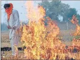  ?? AFP ?? A farmer burns paddy stubble on the outskirts of Amritsar .