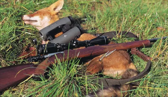  ??  ?? Les balles très fragiles et fangibles sont parfaites pour
la chasse du renard, il n’en ira pas de même avec un chevreuil.