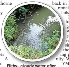  ?? ?? Filthy...cloudy water after sewage spilled into stream