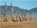  ??  ?? A barren Theewaters­kloof Dam, the main water source for Cape Town.