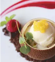  ??  ?? Organic Philippine chocolate coconut shell with mango drops and yogurt gelato