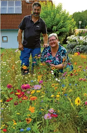  ?? Fotos: Brigitte Bunk ?? Johann Östreicher und Ina Ullrich freuen sich über die wunderschö­nen, farbenpräc­htigen Blüten in ihrer Blumenwies­e mitten im Garten.