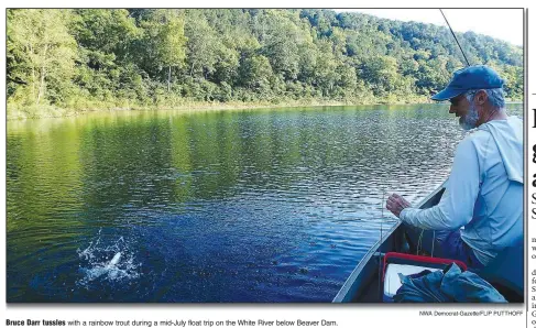  ?? NWA Democrat-Gazette/FLIP PUTTHOFF ?? Bruce Darr tussles with a rainbow trout during a mid-July float trip on the White River below Beaver Dam.