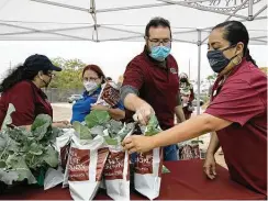  ??  ?? Employees with Texas A&M Agrilife Extension, including Denise Perez, from left, Chris Lambert and Angie Gutierrez, hand out Green Magic broccoli plants for guests at the ceremony.