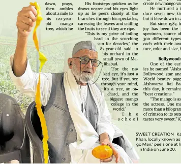  ?? ?? SWEET CREATION Kaleem Ullah Khan, locally known as the ‘Mango Man,’ peels one at his orchard in India on June 20.