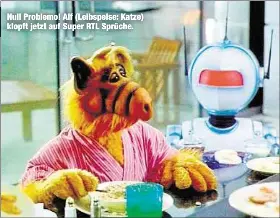 Get Alf sprueche katze HD