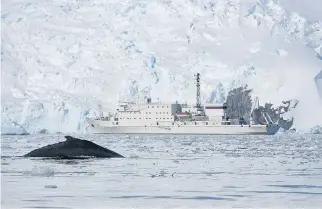  ?? RON CLIFFORD/ONE OCEAN EXPEDITION­S ?? The RCGS Resolute cruise ship sails through Antarctica’s Cierva Cove. As the last continent to be discovered, Antarctica remains mysterious, but is a growing tourist destinatio­n.