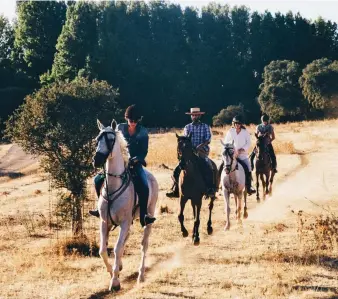  ?? ?? Saddle up: A guided horseback tour in the hills. Below, one of the tents