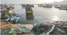  ??  ?? BARCOS PALESTINOS. Navegan cerca del puerto de Gaza (Palestina). El exceso de capturas en el mar es una de las razones para Delibes de la extinción de especies.