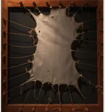  ?? ?? Parchment being dried on a frame at a museum in Switzerlan­d